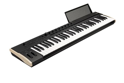 Korg KEYSTAGE 61 Keystage Controller Tastatur