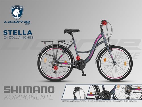 Licorne Bike Gang Schaltung Hollandfahrrad Citybike