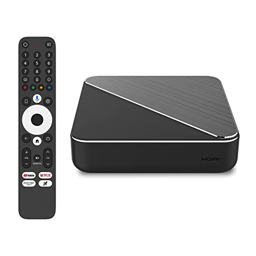 Dune HD Homatics Android Chromecast