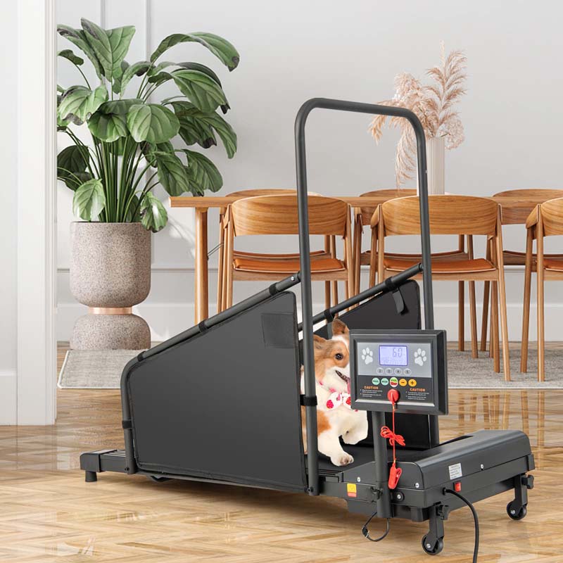 Hundelaufband bis 90kg, mit LCD-Display und Fernbedienung