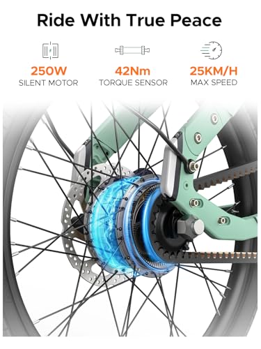 ENGWE Elektrofahrrad Drehmomentsensorik Kohleriemen Stufen PAS