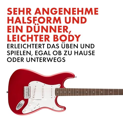 Fender CollectionTM Stratocaster® Fingerboard Pickguard