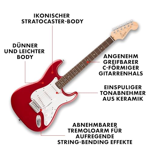 Fender CollectionTM Stratocaster® Fingerboard Pickguard