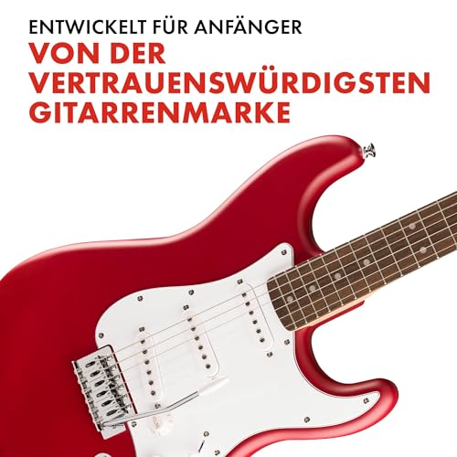 Fender CollectionTM Stratocaster® Fingerboard Pickguard