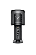 beyerdynamic professionelles Heimstudios Großmembran Kondensator Kapsel Nierencharakteristik