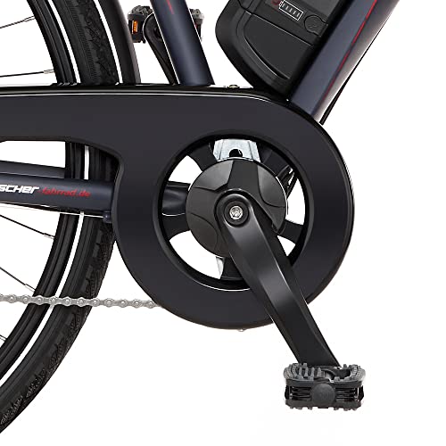 FISCHER Trekking VIATOR Elektrofahrrad Heckmotor