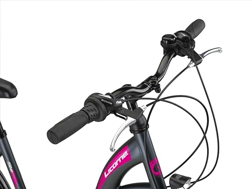 Licorne Bike Gang Schaltung Hollandfahrrad Citybike