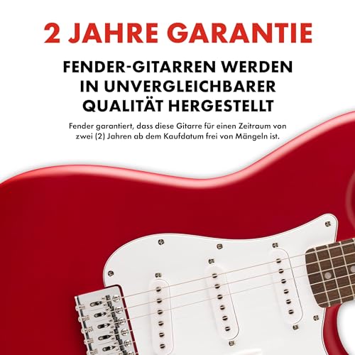 Fender CollectionTM Stratocaster® Fingerboard Pickguard