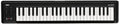 Korg MICROKEY249 Microkey 2 49 49 USB Midi Controller schwarz